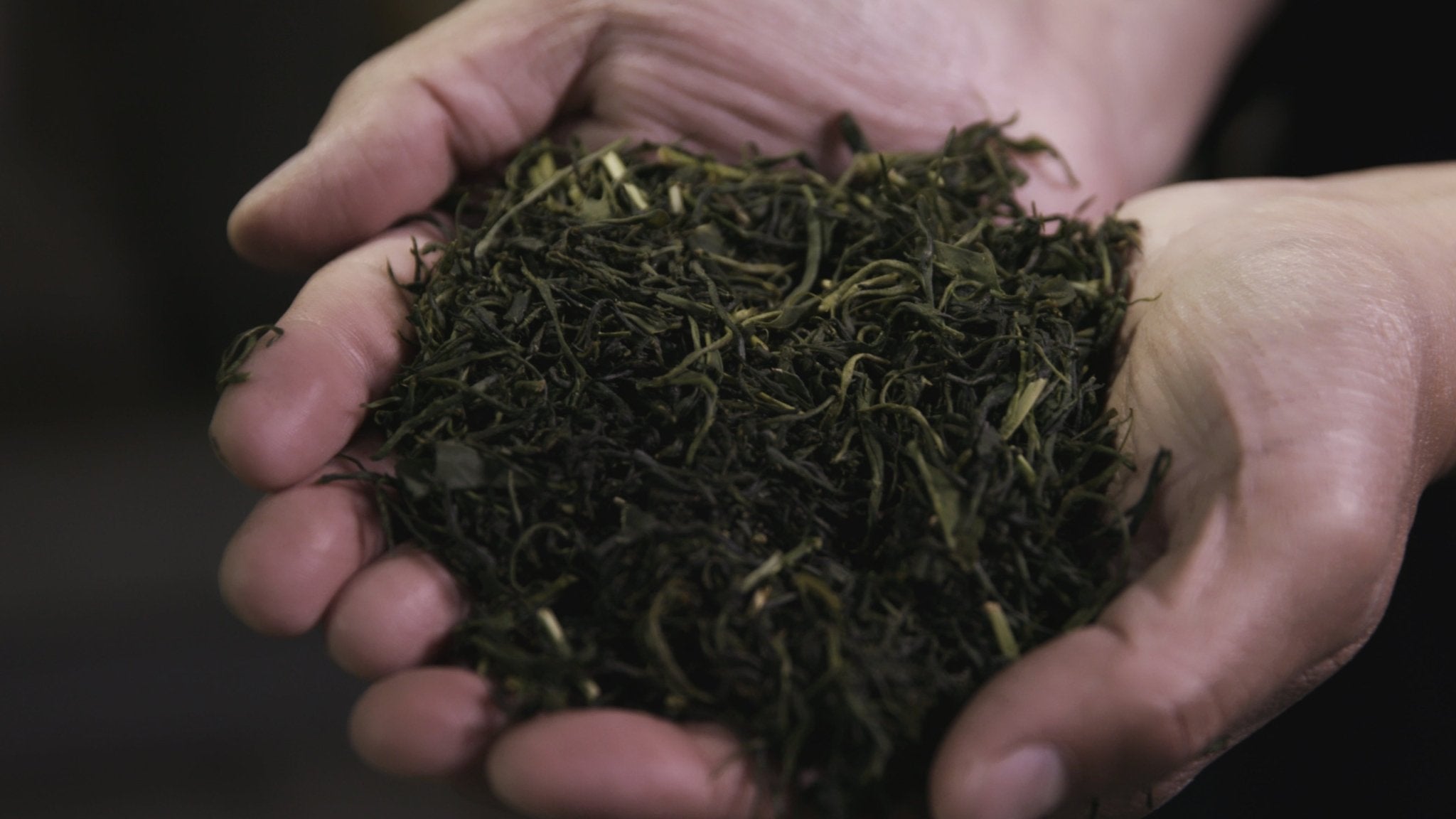 Single Tea - moheitea