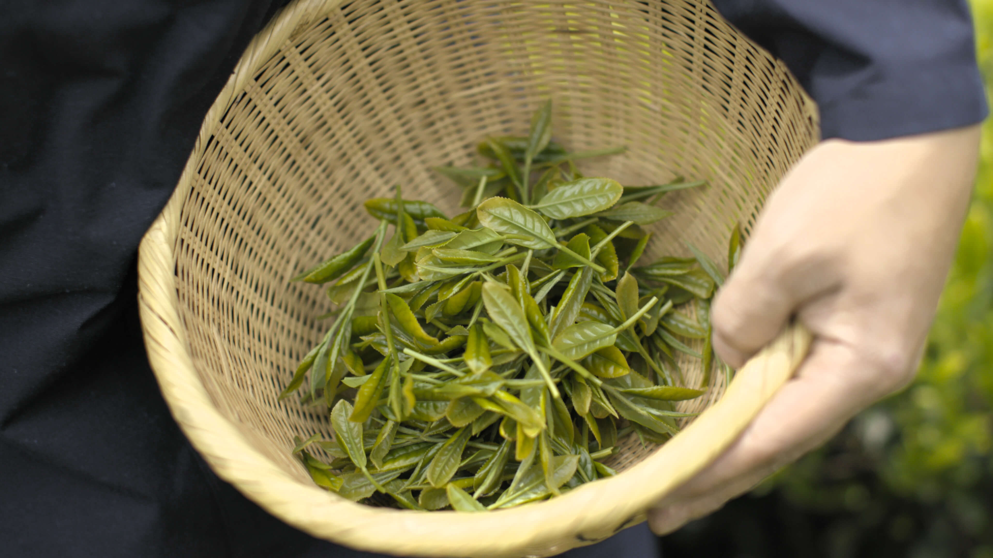 Panier 1.jpg__PID:3c225450-8d7c-436c-9fb3-9fdf05b43932