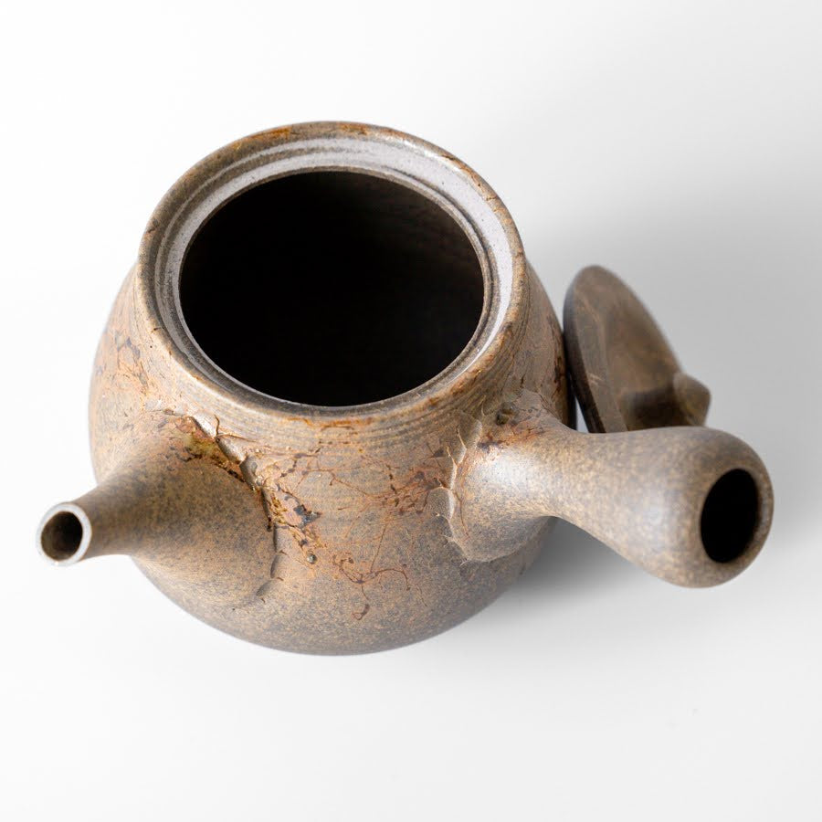 #25 Hitoshi Tanikawa Kyusu (320ml)