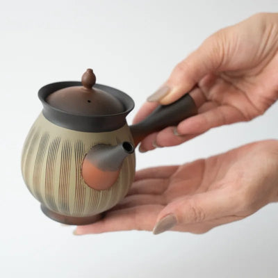 44 Hiroshi Koie (250ml) - Mohei Tea