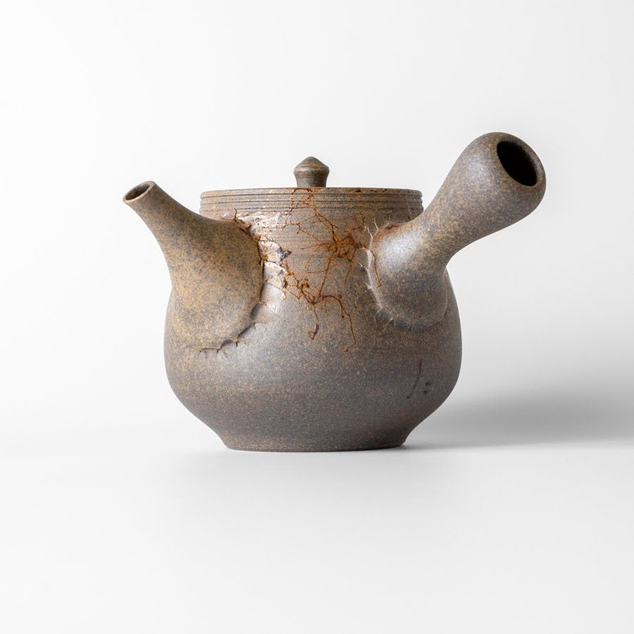 #25 Hitoshi Tanikawa Kyusu (320ml)