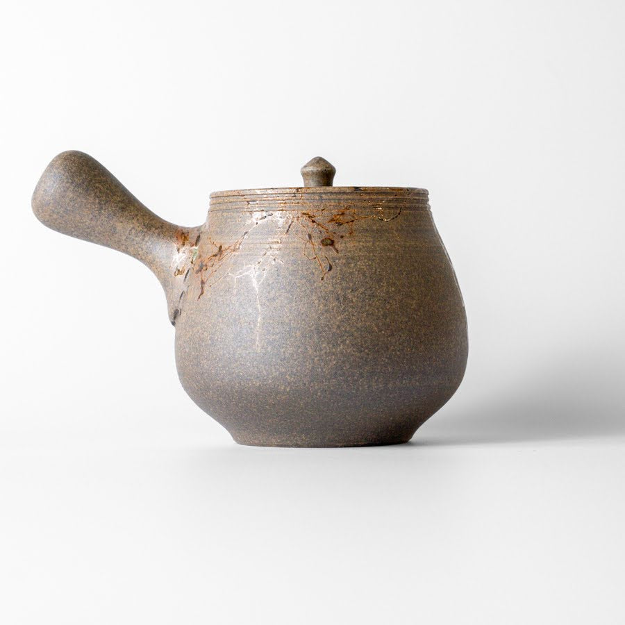 #25 Hitoshi Tanikawa Kyusu (320ml)