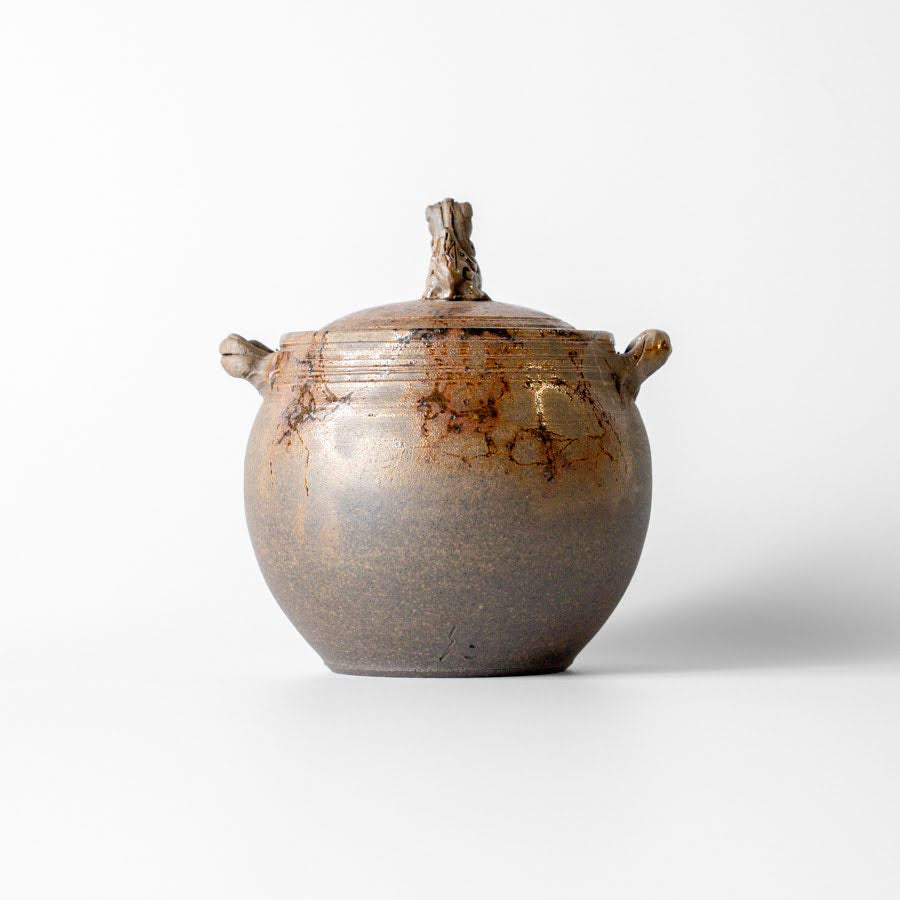 #27 Hitoshi Tanikawa Kyusu (210ml)