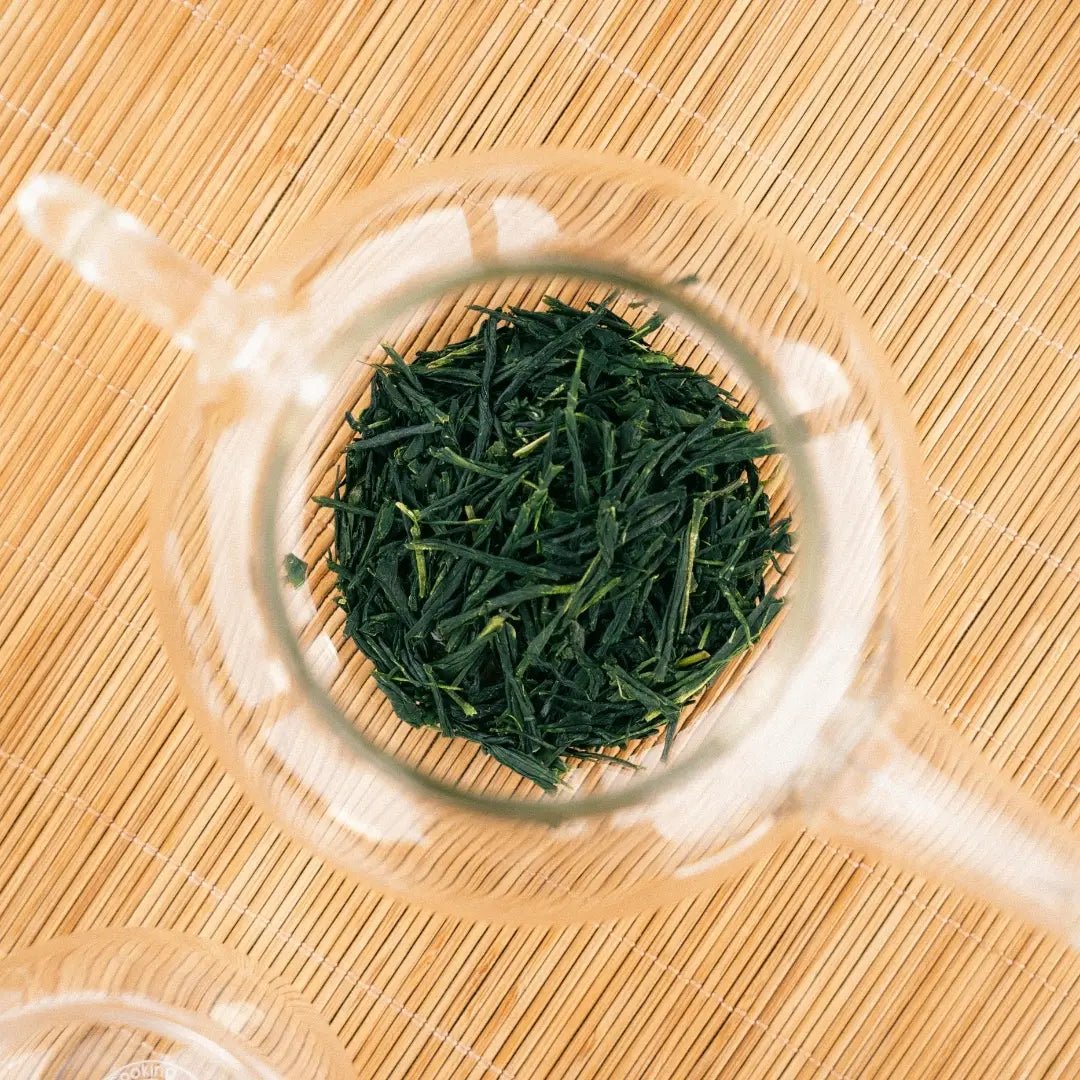 Nº0 Kochi | Shincha 2026 - Mohei Tea
